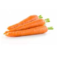 Carrot