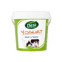 Desi Yogurt Regular