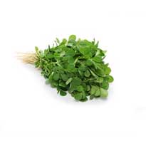 Methi Leaves